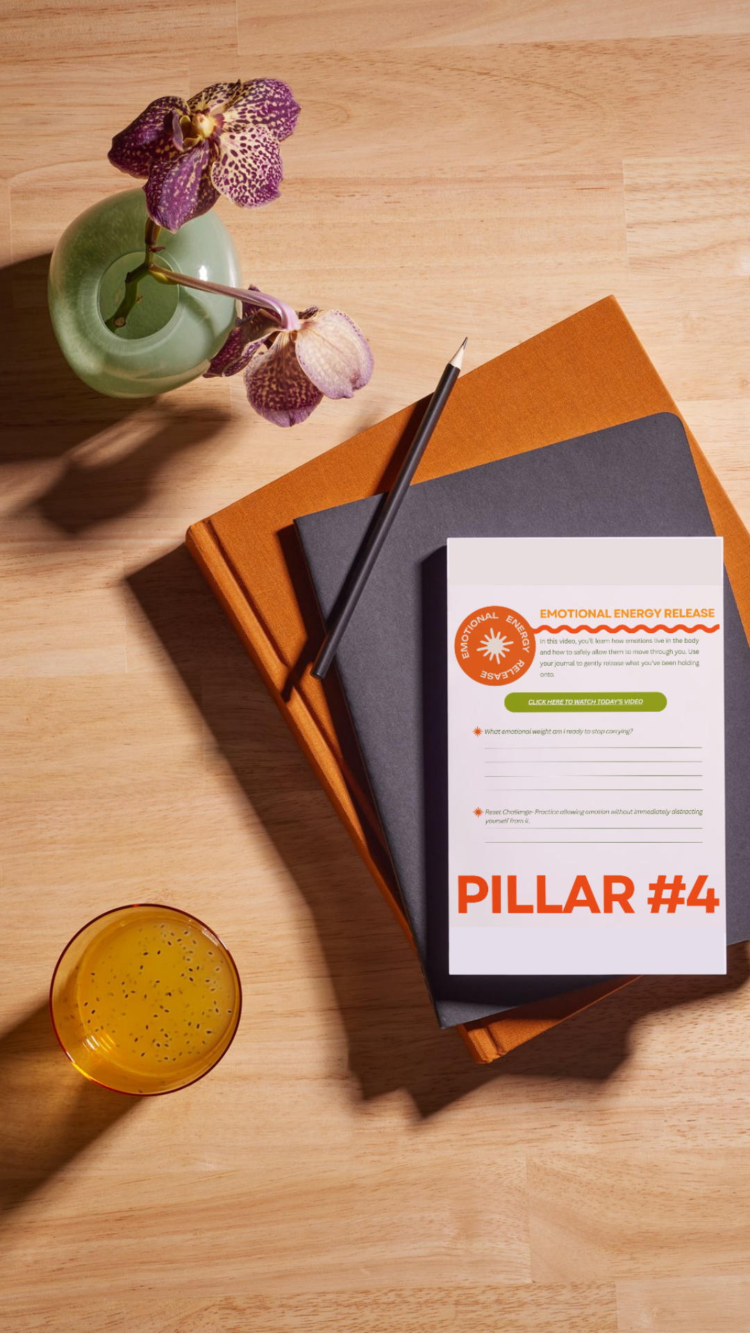 PJ7 Method Reset Video Guided Journal Experience | Digital Download